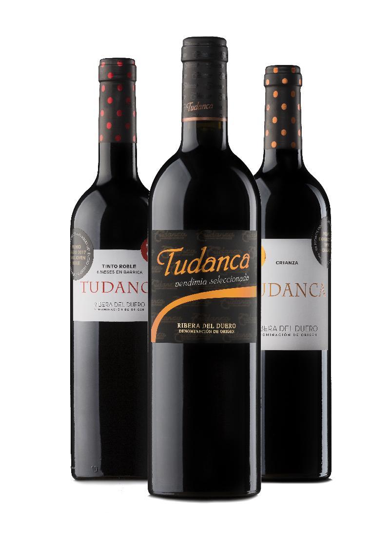 Tudanca-aranda Ii Hotel